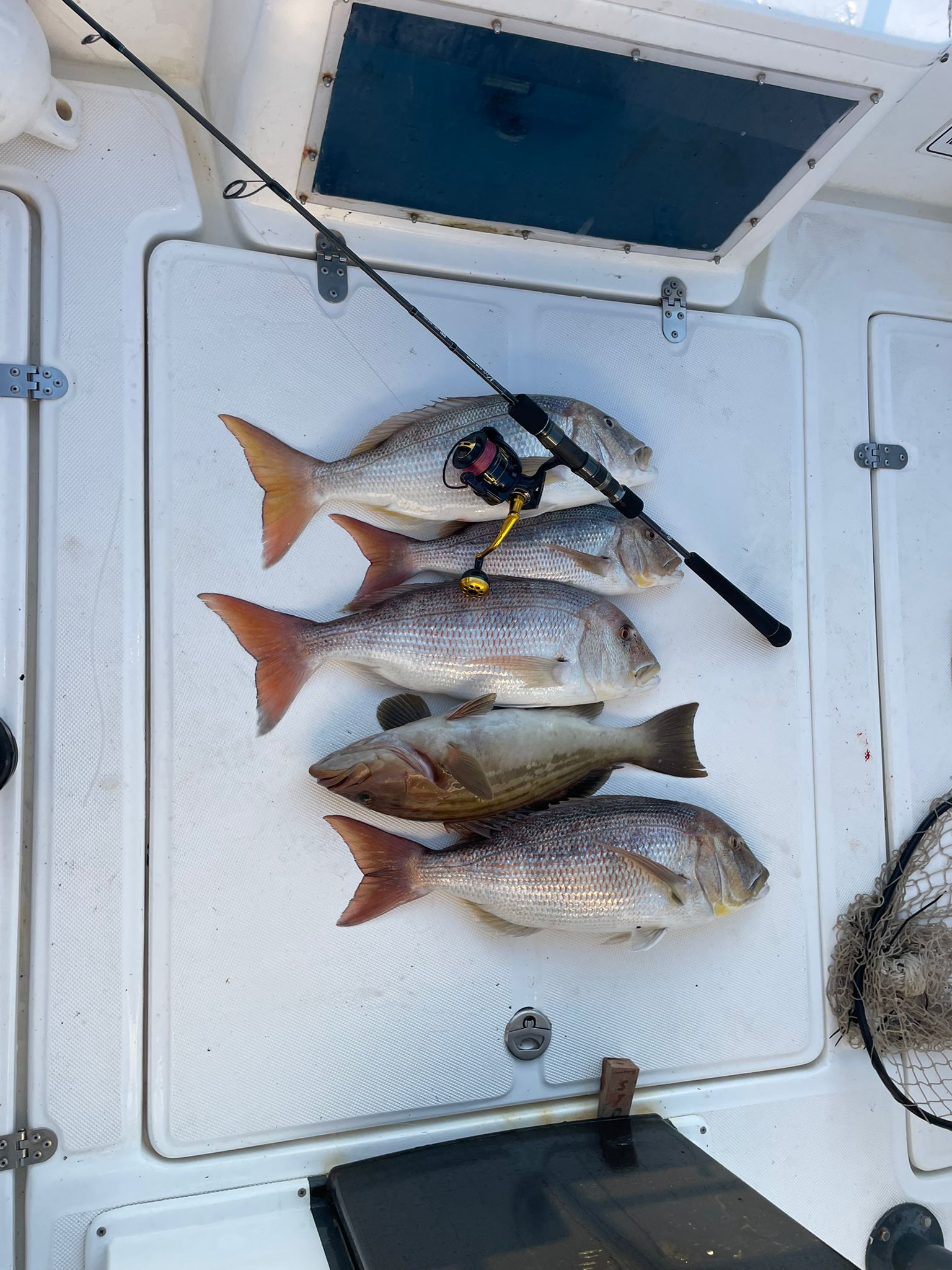 Güllük tekne balıkçılığı