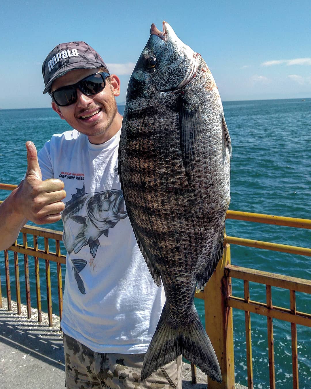 İstanbul kıyı balıkçılığı