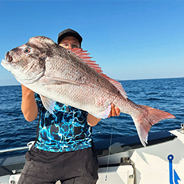 Tırança & Sinarit Takımı | Canlı Yem Uyumlu Dev Balık Seti